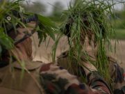 ALAPKIKÉPZÉS – 3. hét…