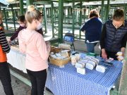 Jó idő, sok érdeklődő és vásárló – Szentesi Gasztro- és Kézműves Piac…