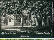 Gőz- és kádfürdő, úttörőház, családsegítő – 150 éves a ligeti épület…