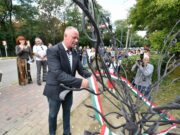 Családok fája „lakatfát” avattak a Kurca parton…