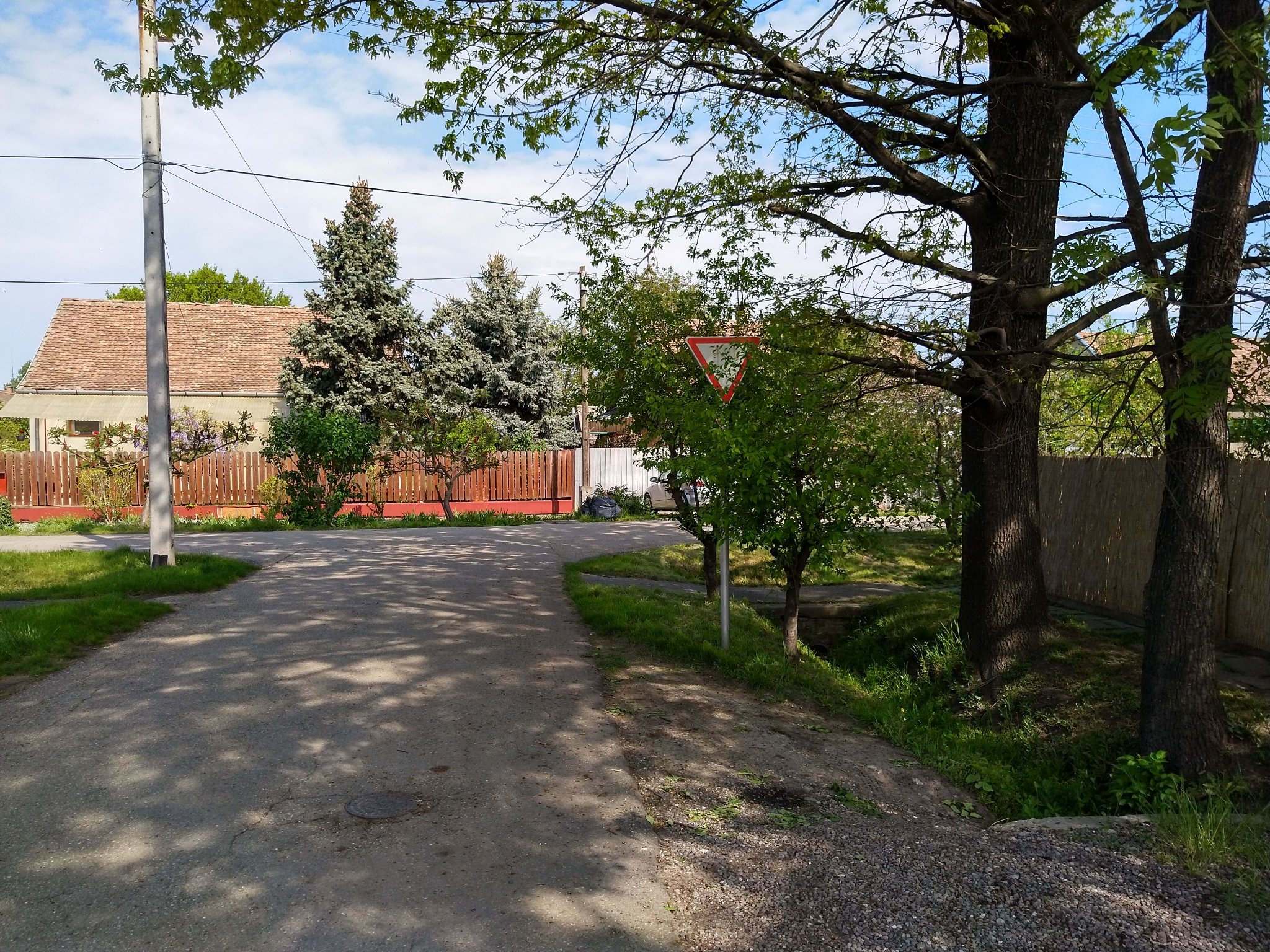 Táblavadász akció Szentesen…