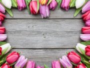 Aranyosi Ervin:: Anyák napi vers…