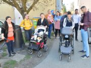 Tavaszi Új Élet Fák átadása…