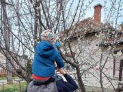 Berekháton elkezdték a készülődést húsvétra…