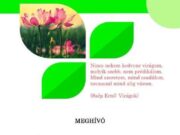 Virágkiállítás és vásár május 6-8-ig a Szecessziós Házban…