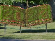 Kinyílt a virágkönyv a könyvtárnál…