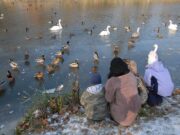 JÉGRE LÉPNI TILOS!…