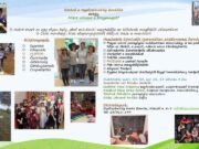 Ovihívogató – Miért válaszd a Pitypangot?…