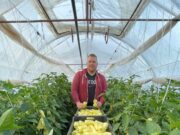 Az állatok gyógyítása helyett a kertészetet választotta…