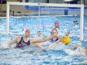 Mozgalmas időszak elé nézünk…