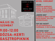 Első Gasztropiknik a Dózsa-kertben…