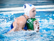 Vitte a pontokat a Fradi…