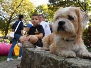 Családi nap az Élet-Morzsa Egyesület szervezésében…