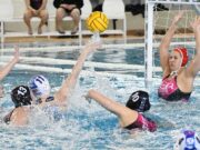 Képek a Valdor Szentes Eger elleni bajnoki mérkőzéséről. Vidovics Ferenc #va…