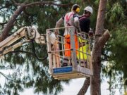 Gallyazási munkálatokat végeznek a városban január 31-ig…