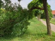 Szentesre is jutott a pécsi viharból…