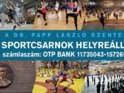 Károlyi László is összefogásra buzdít…