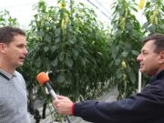 Hozzáadott érték…