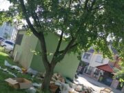 Új fejlemény az Új utcai szeméttel kapcsolatban…