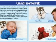A december 10-én megjelent 49. lapszámunk családi eseményei…