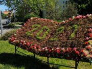 Kinyíltak a lapjai a virágkönyvnek…