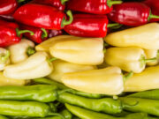 A hungarikumok közé került a szentesi paprika…