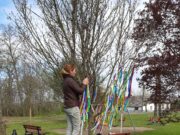 Májusfát állítottak Lapistón…