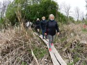 Átadták a Termál-tavi öko-turisztikai bázist, sétautat pallólabirintussal…