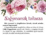 Nagymamák tavasza – 5000 virágpalánta kerül kiosztásra…