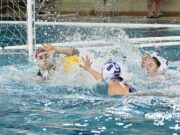 Mindkét csapatunk itthon játszik…