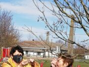 Tojásfák a közösség épüléséért…