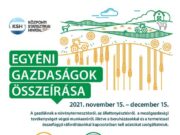 Közzétette: Irén Palicska…