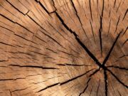 Lakossági tájékoztató az új környezetvédelmi helyi rendeletről…