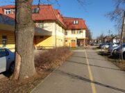 Útlezárással járó fakivágás lesz a Kiss Zsigmond utcán…