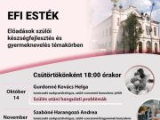 EFI-esték a könyvtárban…