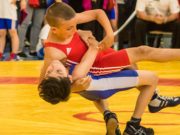 Magyar Birkózó Szövetség