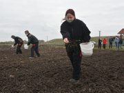 Méhlegelő segíti jövőre a méhek megtelepedését…