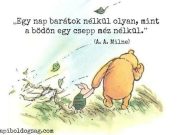 Ma van a barátság világnapja! Hívjuk fel a régen nem látott barátokat :)…