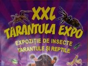 Mindenkit szeretettel várunk! :) A belépődíj 1500 Ft….