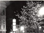 Mozaikok a Petőfi Szálló történetéből…