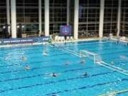 MK elődöntő! Hajrá Szentes!…