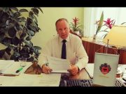 Újra nyit a Villogó utcai piac!…