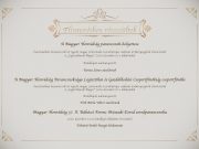 Előléptetés és elismerések átadása…