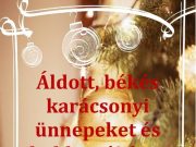 Minden kedves látogatónknak, vendégünknek áldott, békés karácsonyt és boldog új …