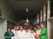 A szentesi szülészet így adja hírül, hogy náluk zavartalan a működés!…