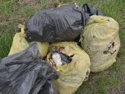 Több zsák szemét és disznófejek keresik gazdájukat…