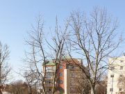 Jól sikerült a tegnap esti buli – sajnos!…