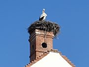 Visszavonhatatlanul itt a tavasz…