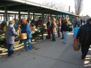 Határozatlan időre bezár a Rákóczi utcai és a Villogó utcai piac…