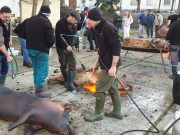 Elkezdődött az I. Családi Disznótoros Szentesen…